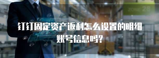 钉钉固定资产返利怎么设置的明细账号信息吗？