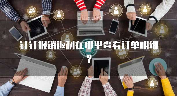 钉钉报销返利在哪里查看订单明细?