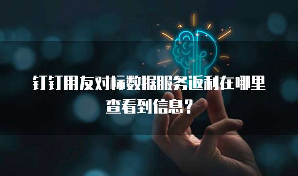 钉钉用友对标数据服务返利在哪里查看到信息?