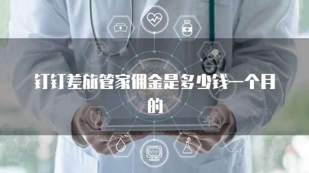 钉钉差旅管家佣金是多少钱一个月的