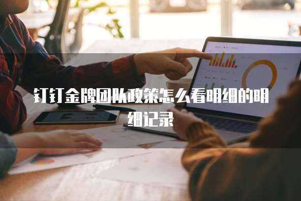 钉钉金牌团队政策怎么看明细的明细记录