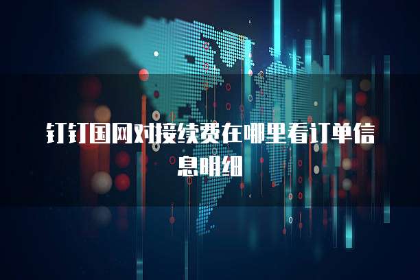 钉钉国网对接续费在哪里看订单信息明细