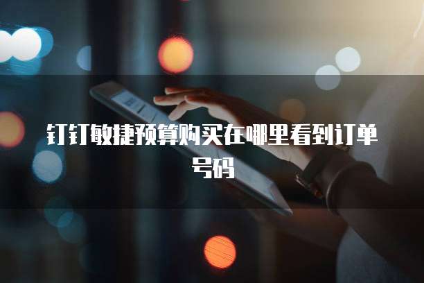 钉钉敏捷预算购买在哪里看到订单号码