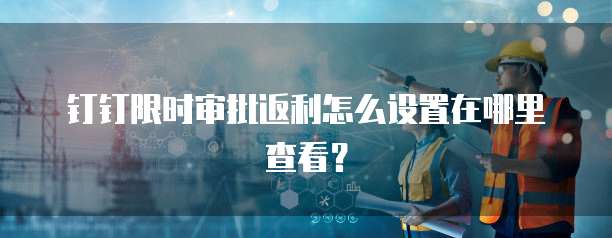 钉钉限时审批返利怎么设置在哪里查看？