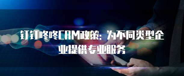 钉钉咚咚CRM政策: 为不同类型企业提供专业服务