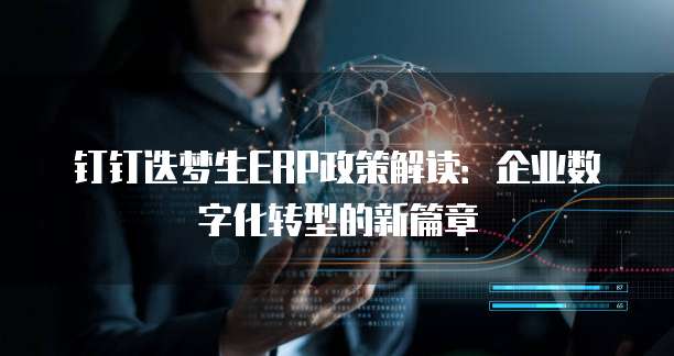 钉钉迭梦生ERP政策解读：企业数字化转型的新篇章