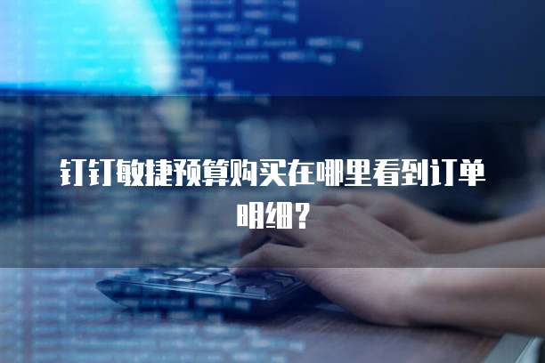 钉钉敏捷预算购买在哪里看到订单明细？