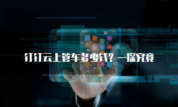钉钉云上管车多少钱？一探究竟