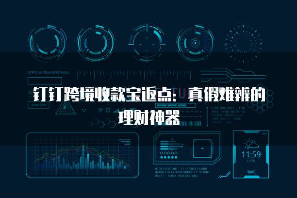 钉钉跨境收款宝返点：真假难辨的理财神器