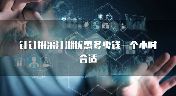 钉钉招采江湖优惠多少钱一个小时合适