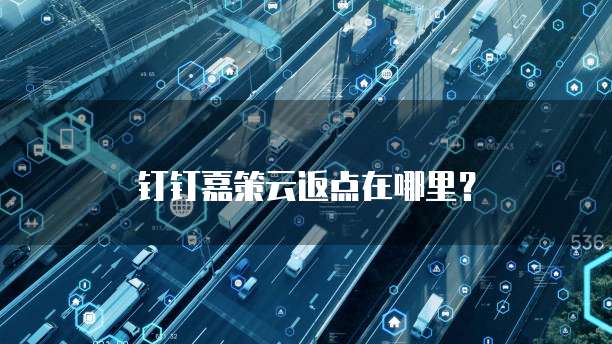 钉钉嘉策云返点在哪里？