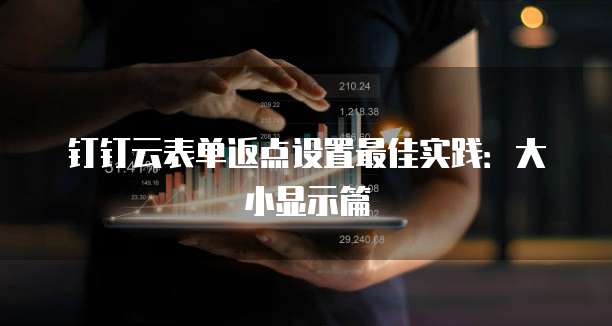 钉钉云表单返点设置最佳实践：大小显示篇