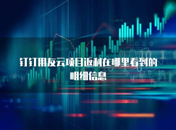 钉钉用友云项目返利在哪里看到的明细信息