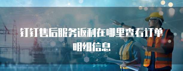 钉钉售后服务返利在哪里查看订单明细信息