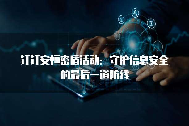 钉钉安恒密盾活动:守护信息安全的最后一道防线