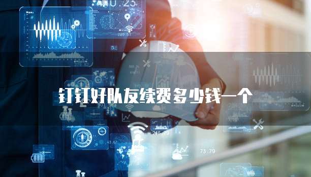 钉钉好队友续费多少钱一个