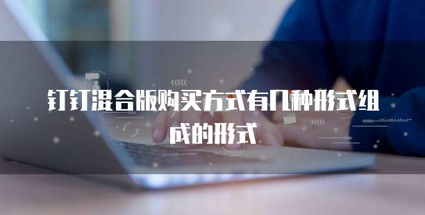 钉钉混合版购买方式有几种形式组成的形式