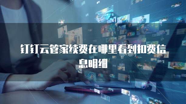 钉钉云管家续费在哪里看到扣费信息明细