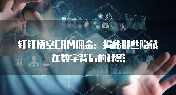 钉钉悟空CRM佣金：揭秘那些隐藏在数字背后的秘密
