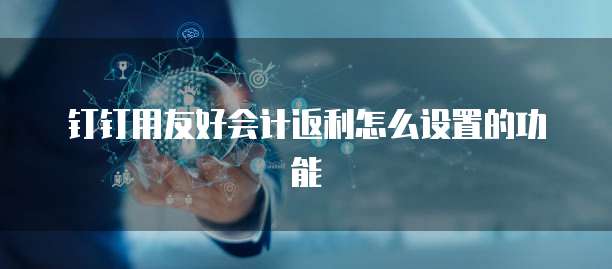 钉钉用友好会计返利怎么设置的功能