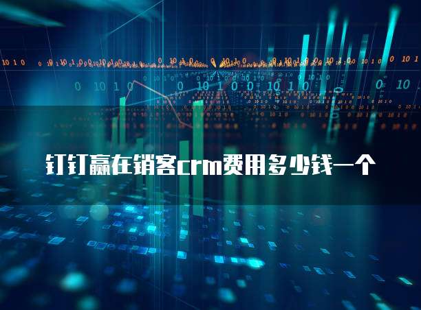 钉钉赢在销客crm费用多少钱一个