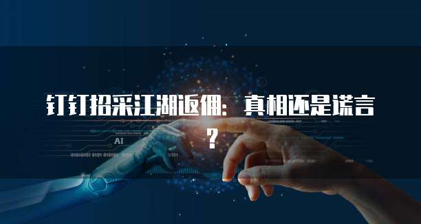钉钉招采江湖返佣:真相还是谎言?