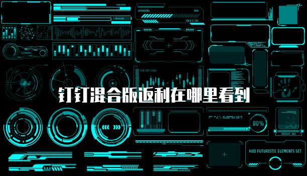钉钉混合版返利在哪里看到
