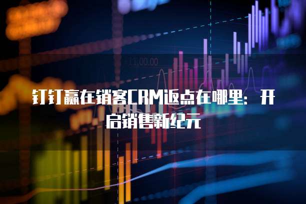 钉钉赢在销客CRM返点在哪里：开启销售新纪元