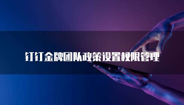 钉钉金牌团队政策设置权限管理