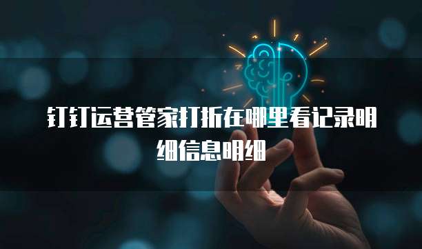 钉钉运营管家打折在哪里看记录明细信息明细