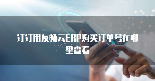 钉钉用友畅云ERP购买订单号在哪里查看