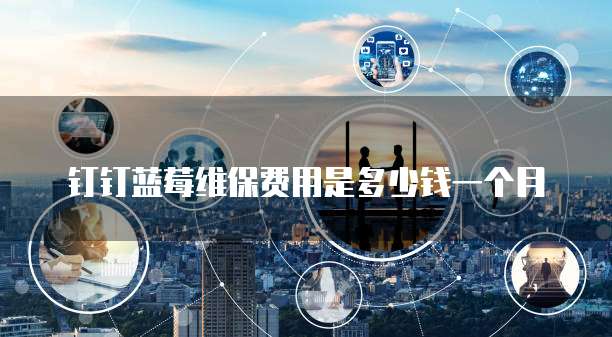 钉钉蓝莓维保费用是多少钱一个月
