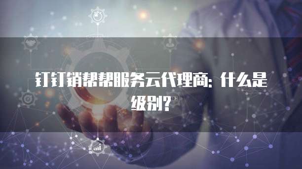钉钉销帮帮服务云代理商: 什么是级别?