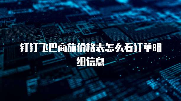 钉钉飞巴商旅价格表怎么看订单明细信息