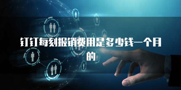 钉钉每刻报销费用是多少钱一个月的