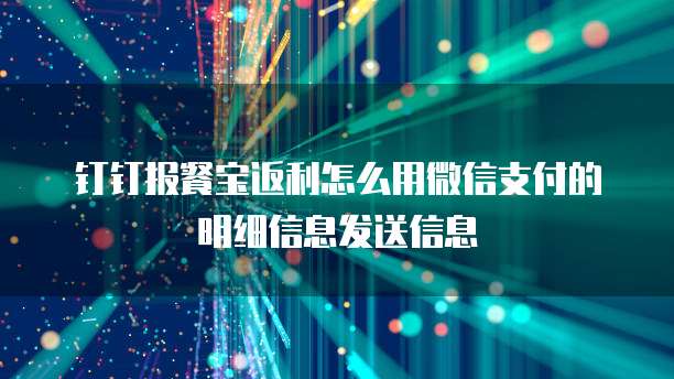 钉钉报餐宝返利怎么用微信支付的明细信息发送信息