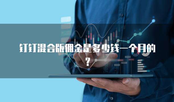 钉钉混合版佣金是多少钱一个月的？