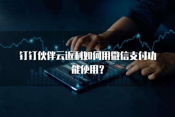 钉钉伙伴云返利如何用微信支付功能使用?
