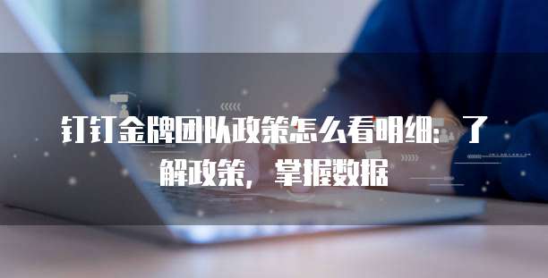钉钉金牌团队政策怎么看明细：了解政策，掌握数据
