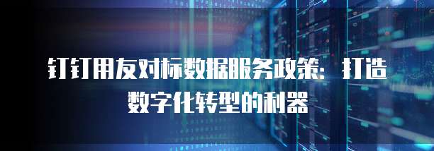 钉钉用友对标数据服务政策:打造数字化转型的利器