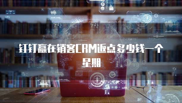钉钉赢在销客crm返点多少钱一个星期