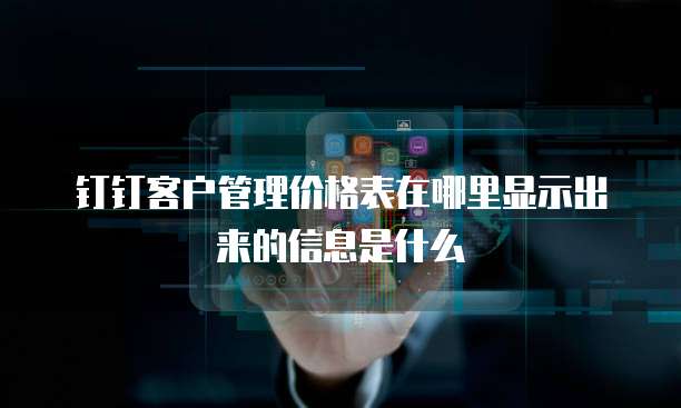 钉钉客户管理价格表在哪里显示出来的信息是什么