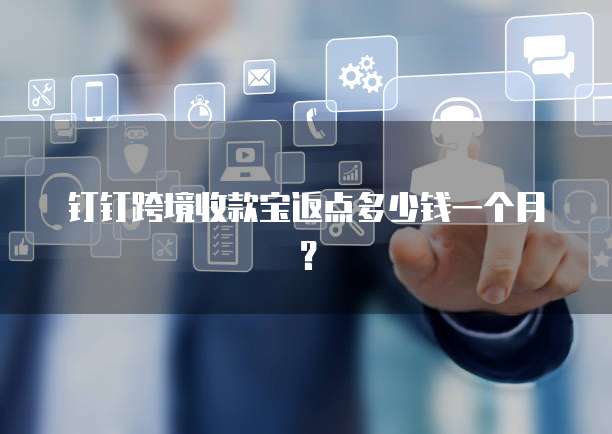 钉钉跨境收款宝返点多少钱一个月?