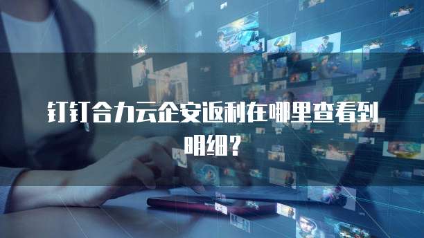 钉钉合力云企安返利在哪里查看到明细？