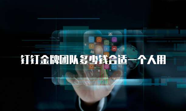 钉钉金牌团队多少钱合适一个人用