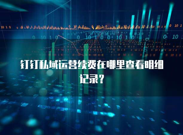 钉钉私域运营续费在哪里查看明细记录?