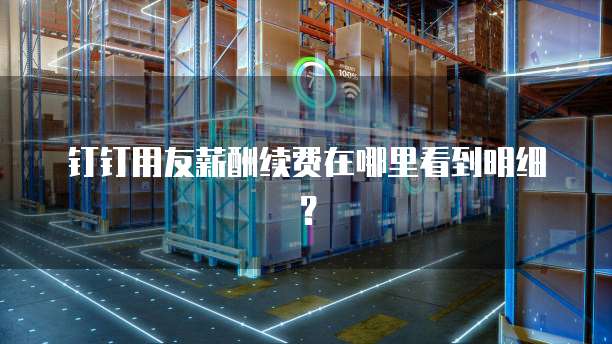 钉钉用友薪酬续费在哪里看到明细？