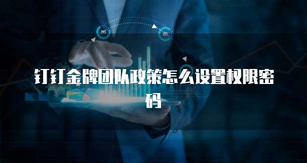 钉钉金牌团队政策怎么设置权限密码