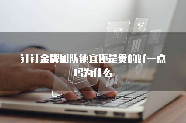 钉钉金牌团队便宜还是贵的好一点吗为什么