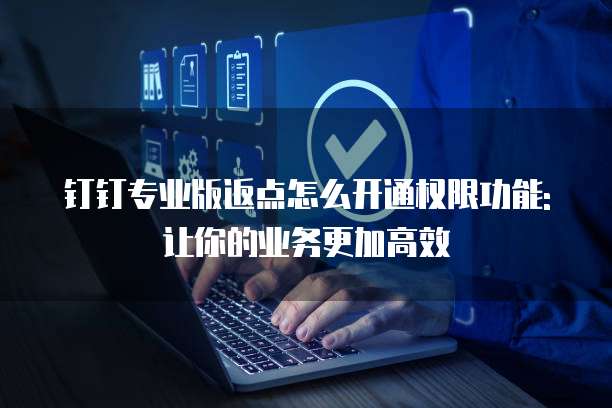 钉钉专业版返点怎么开通权限功能:让你的业务更加高效